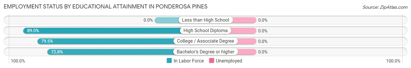 Employment Status by Educational Attainment in Ponderosa Pines