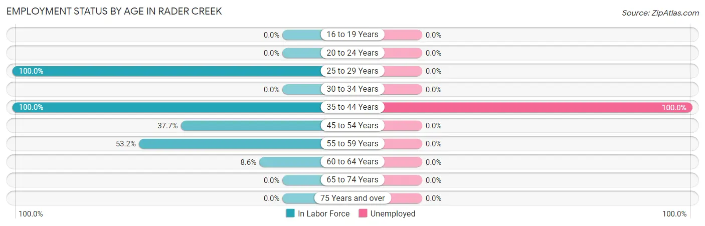 Employment Status by Age in Rader Creek