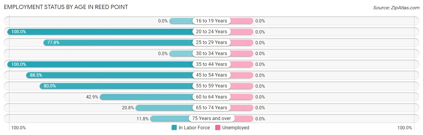 Employment Status by Age in Reed Point