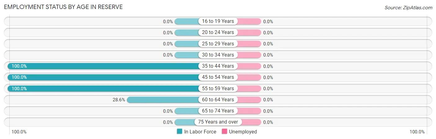 Employment Status by Age in Reserve