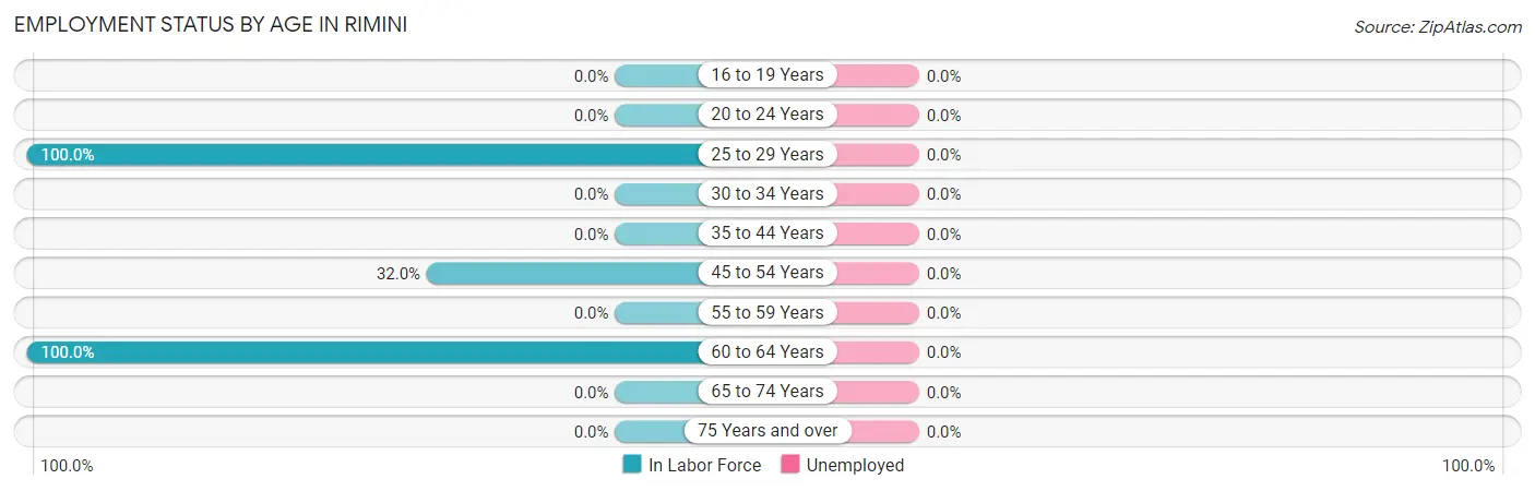 Employment Status by Age in Rimini