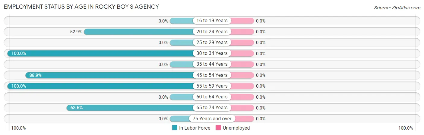 Employment Status by Age in Rocky Boy s Agency