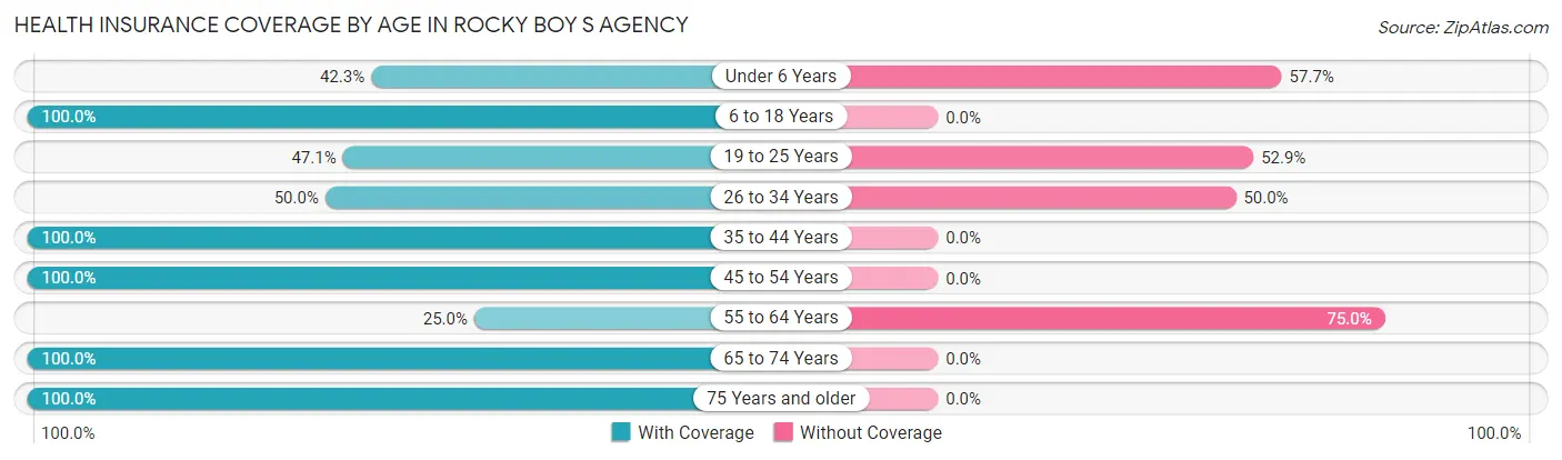 Health Insurance Coverage by Age in Rocky Boy s Agency