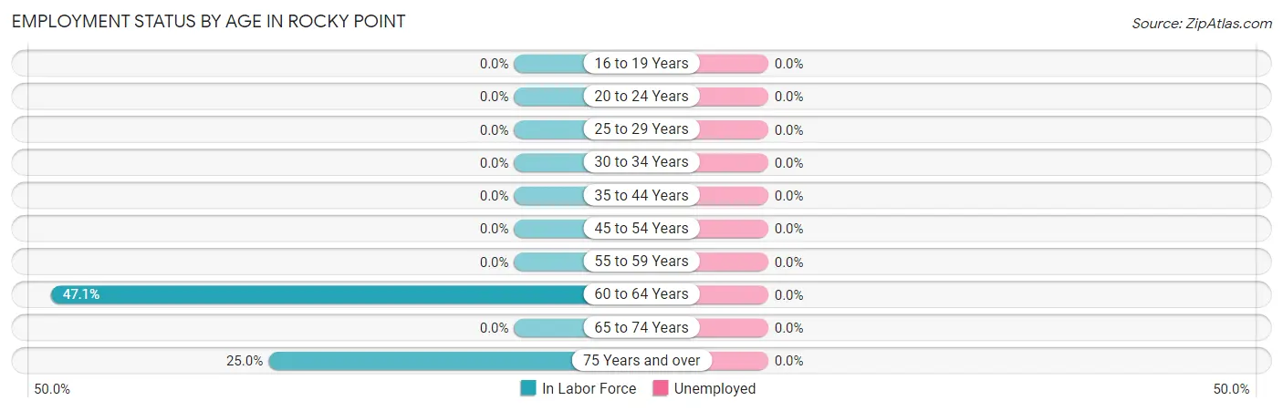 Employment Status by Age in Rocky Point