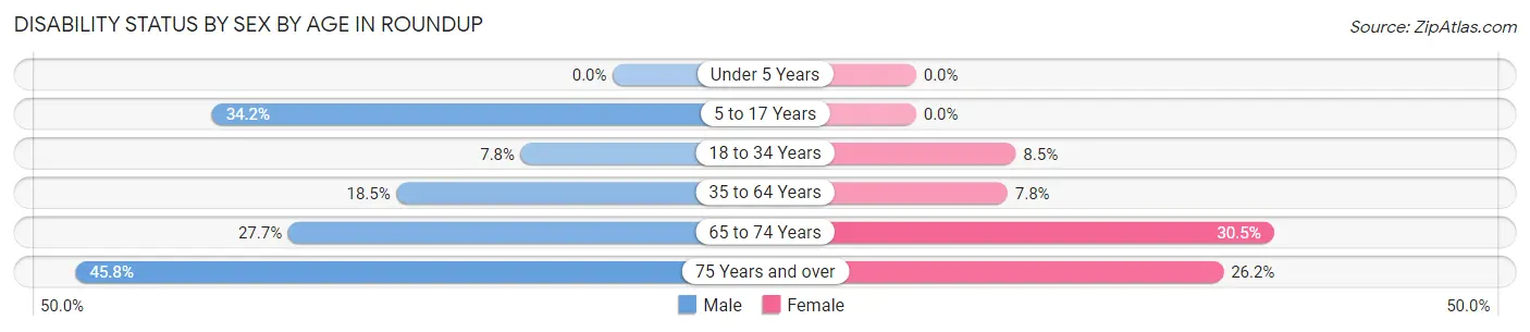 Disability Status by Sex by Age in Roundup