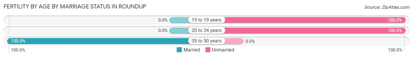 Female Fertility by Age by Marriage Status in Roundup