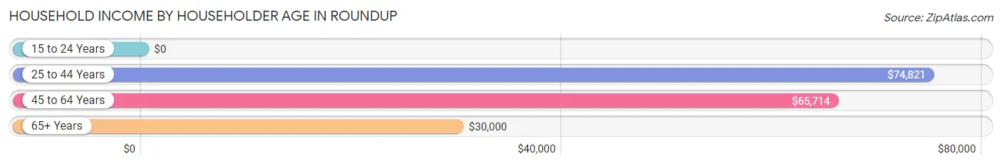 Household Income by Householder Age in Roundup