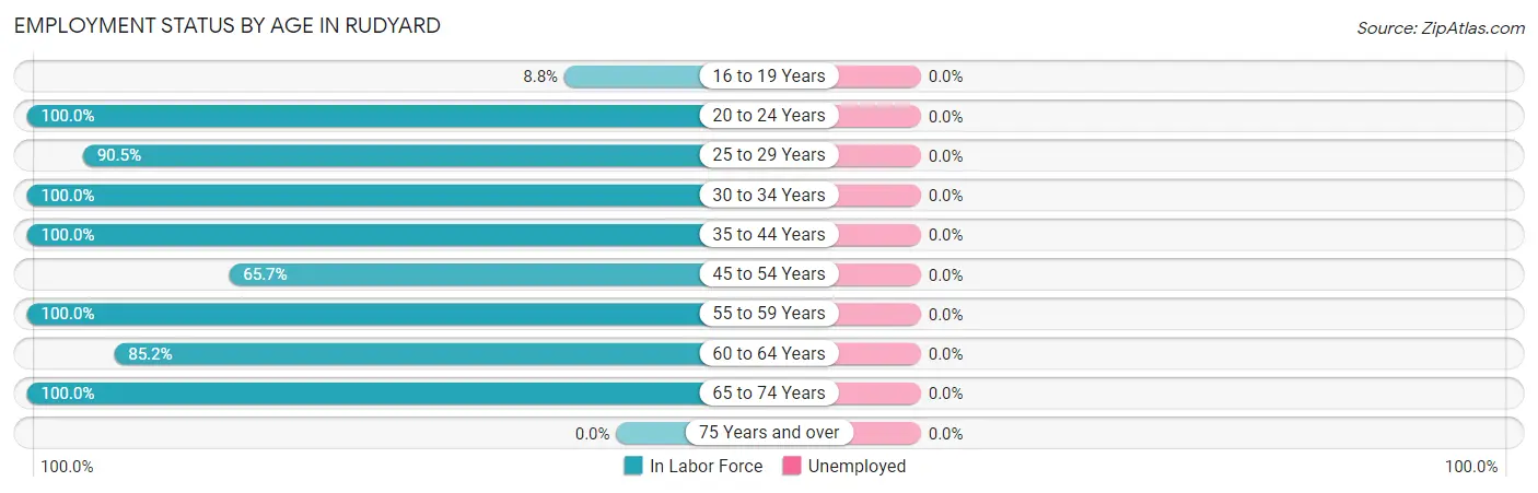 Employment Status by Age in Rudyard