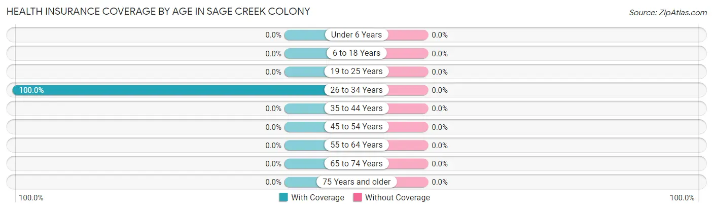 Health Insurance Coverage by Age in Sage Creek Colony
