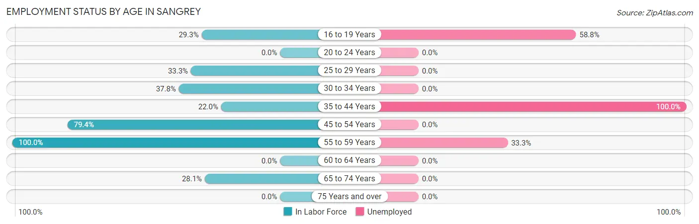 Employment Status by Age in Sangrey