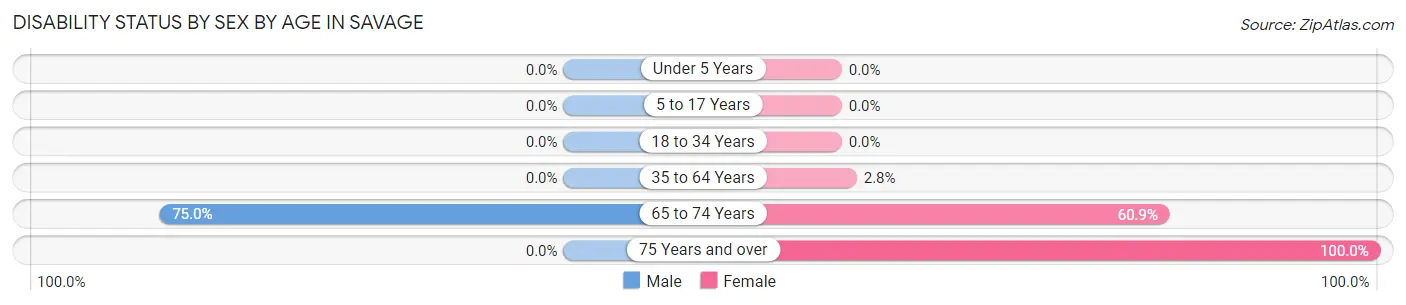Disability Status by Sex by Age in Savage