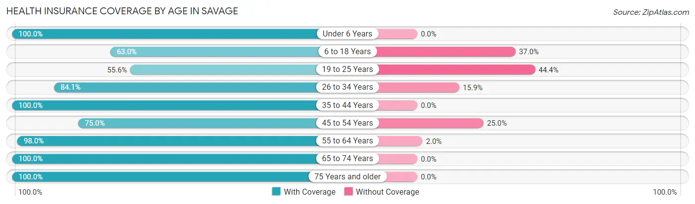 Health Insurance Coverage by Age in Savage