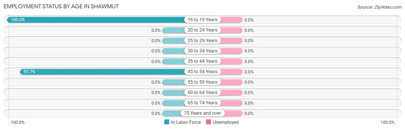 Employment Status by Age in Shawmut