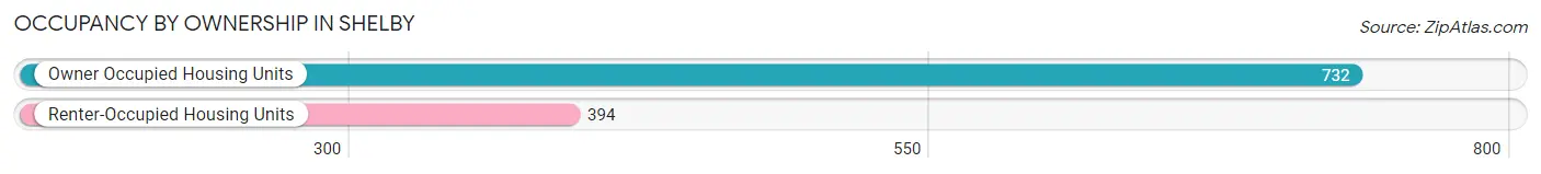 Occupancy by Ownership in Shelby