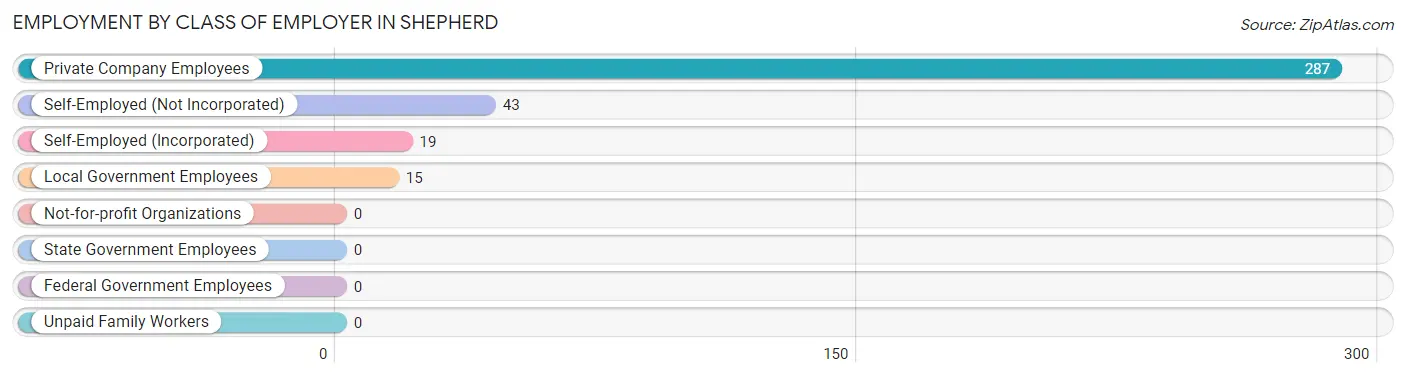 Employment by Class of Employer in Shepherd