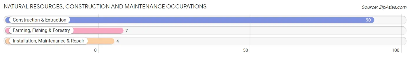 Natural Resources, Construction and Maintenance Occupations in Sheridan