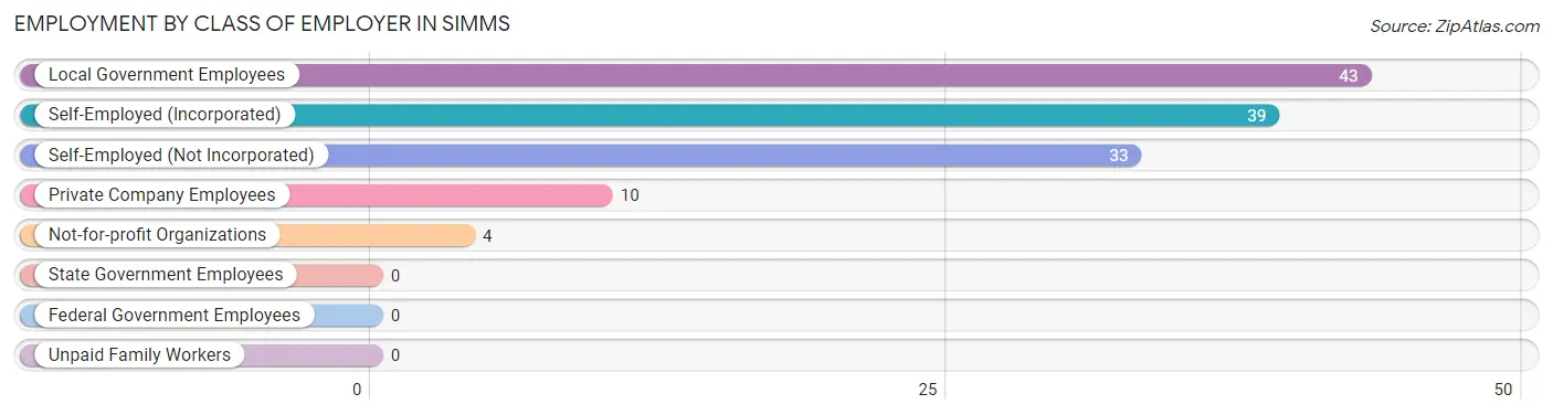 Employment by Class of Employer in Simms