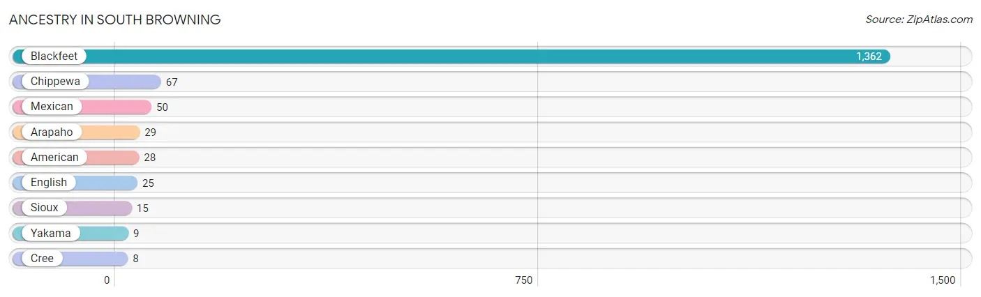 Ancestry in South Browning