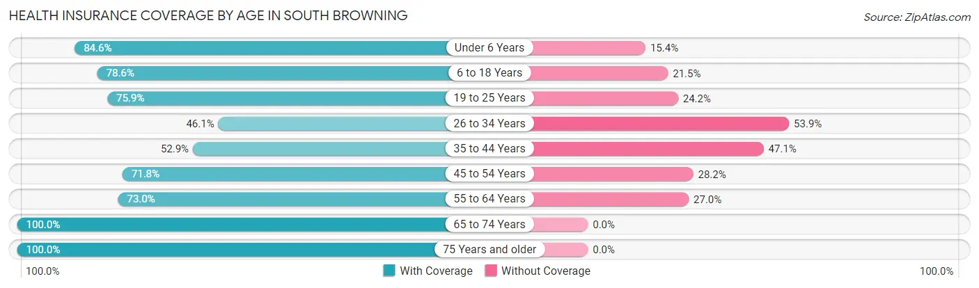 Health Insurance Coverage by Age in South Browning