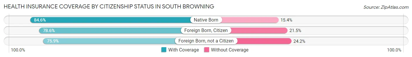 Health Insurance Coverage by Citizenship Status in South Browning