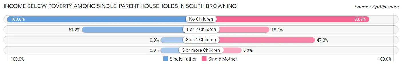 Income Below Poverty Among Single-Parent Households in South Browning