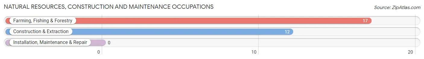 Natural Resources, Construction and Maintenance Occupations in South Browning