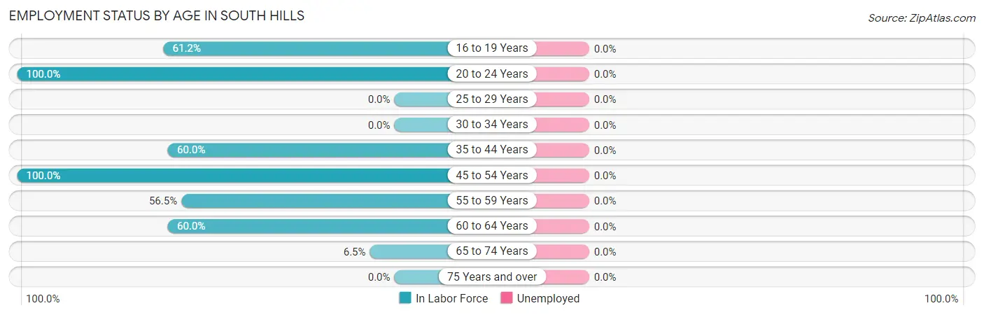 Employment Status by Age in South Hills