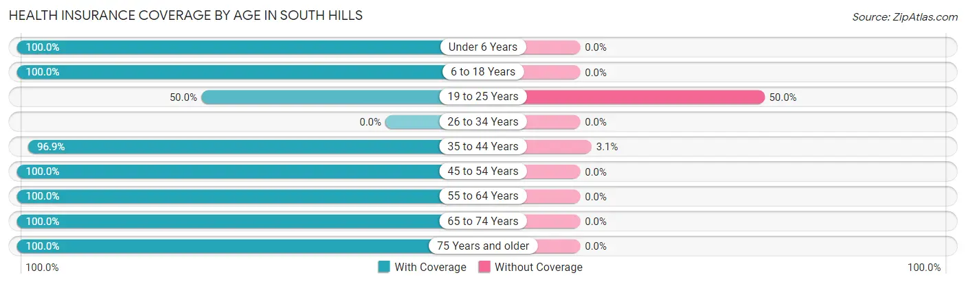Health Insurance Coverage by Age in South Hills