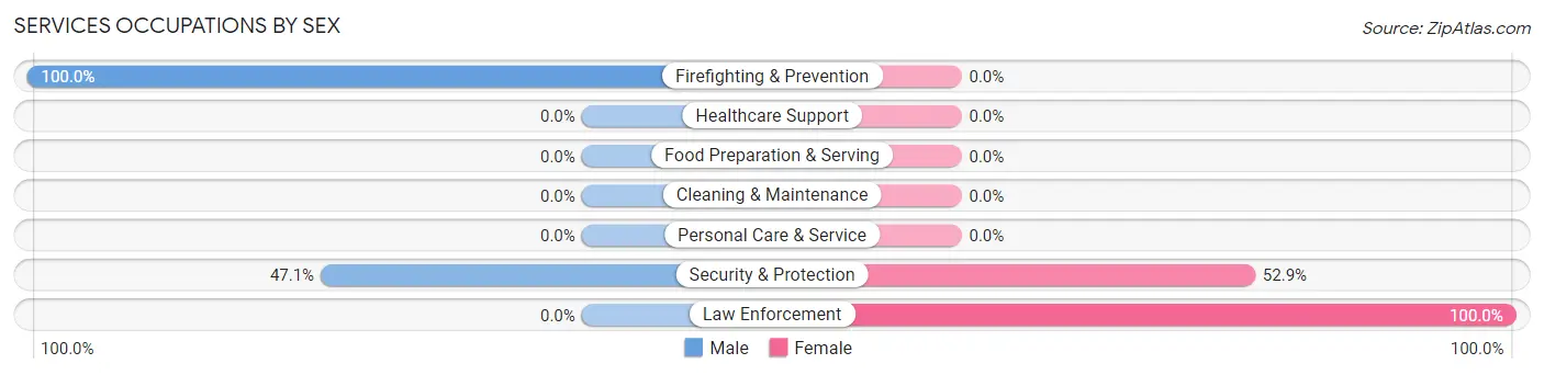 Services Occupations by Sex in South Hills