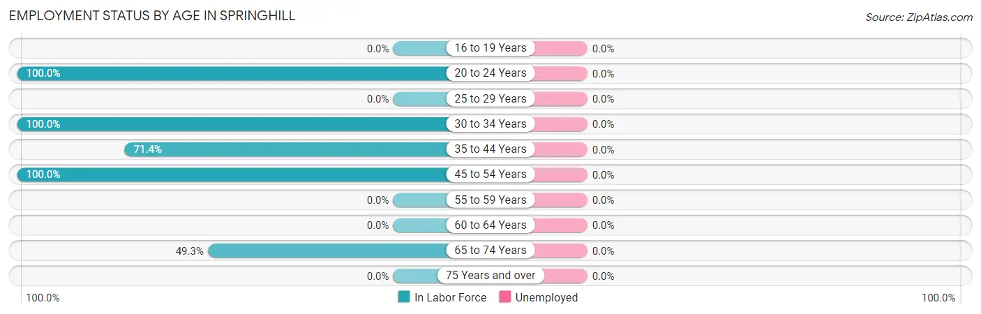 Employment Status by Age in Springhill
