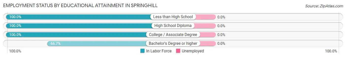 Employment Status by Educational Attainment in Springhill