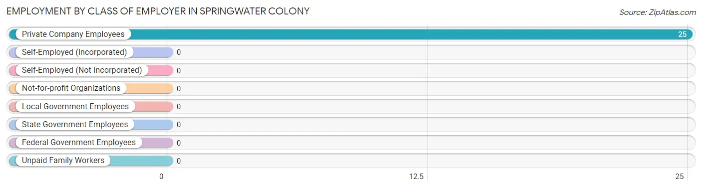 Employment by Class of Employer in Springwater Colony