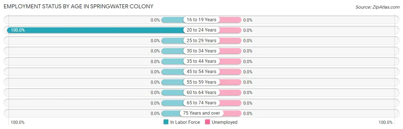 Employment Status by Age in Springwater Colony