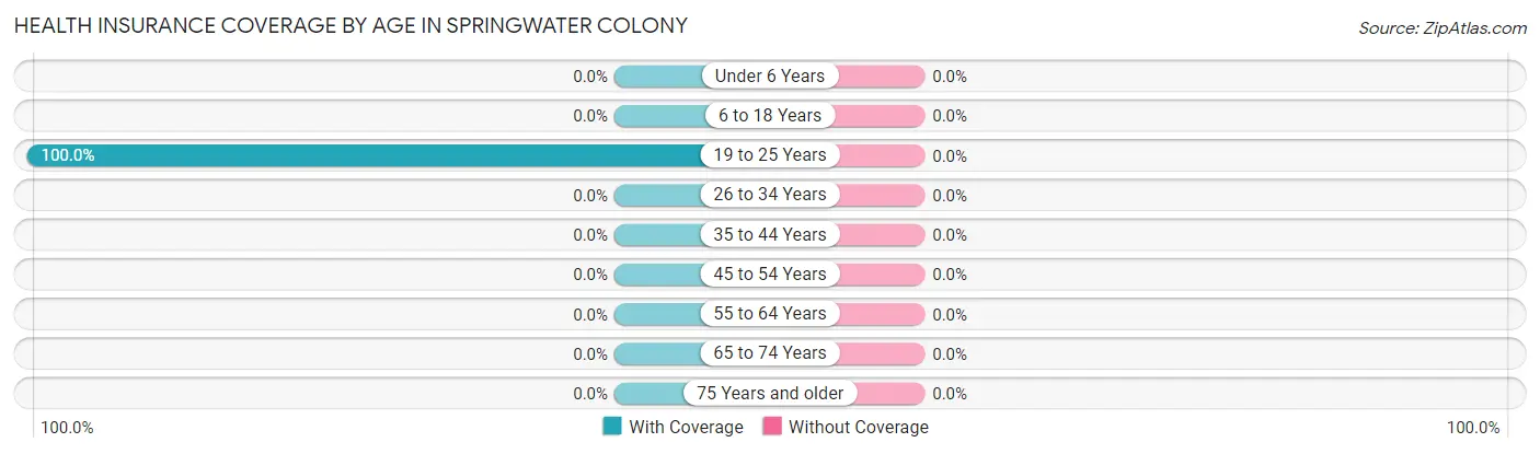 Health Insurance Coverage by Age in Springwater Colony