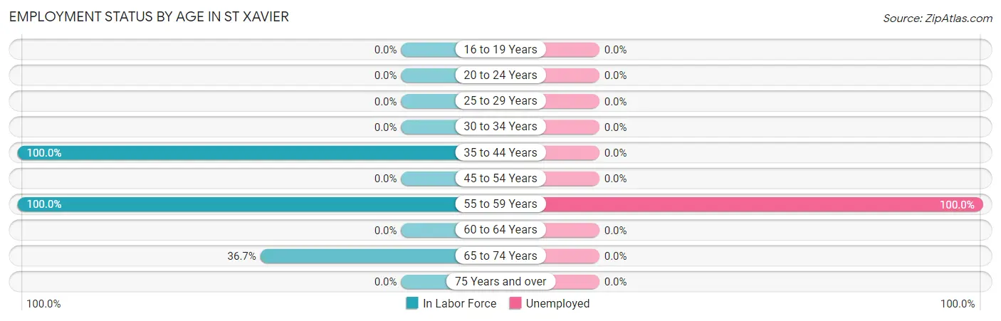 Employment Status by Age in St Xavier