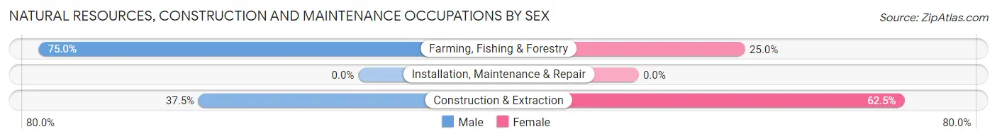 Natural Resources, Construction and Maintenance Occupations by Sex in Stanford