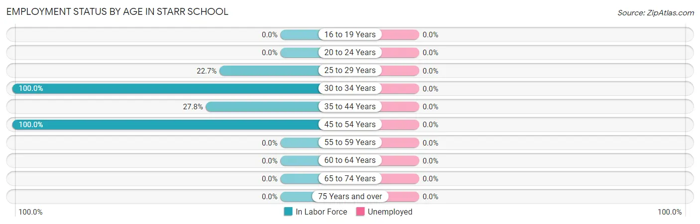 Employment Status by Age in Starr School