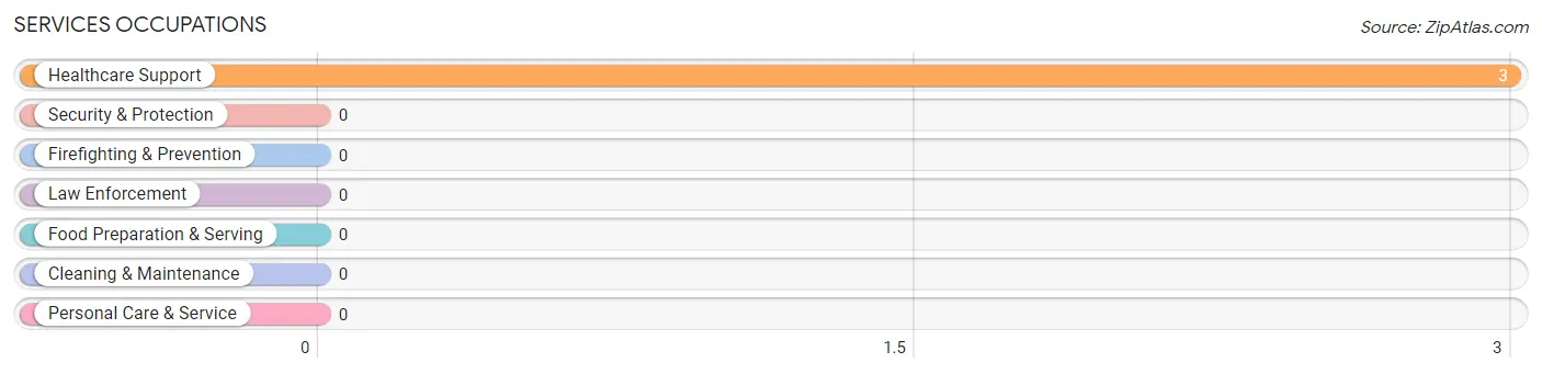 Services Occupations in Stryker