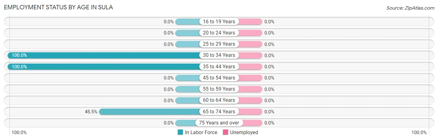 Employment Status by Age in Sula