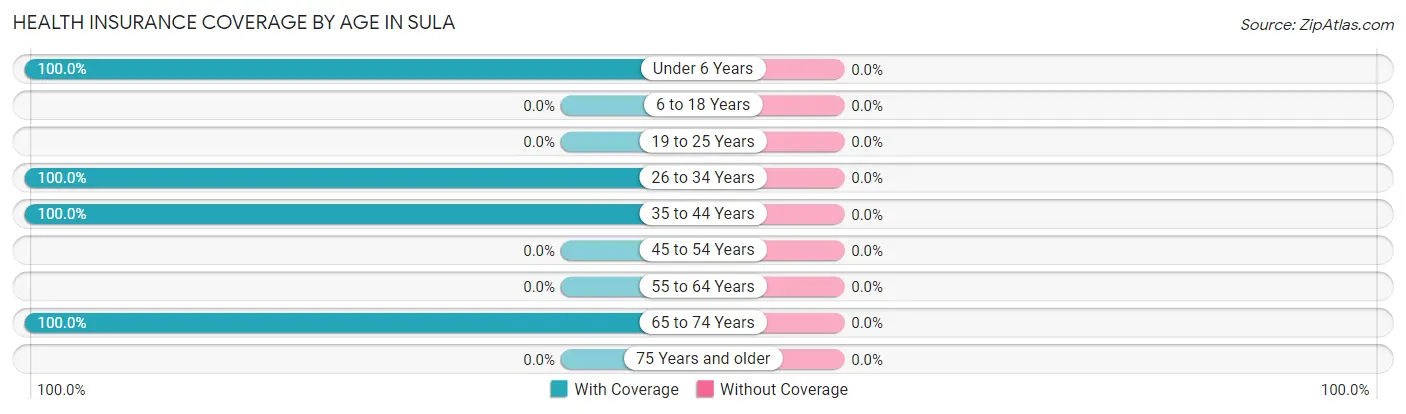 Health Insurance Coverage by Age in Sula