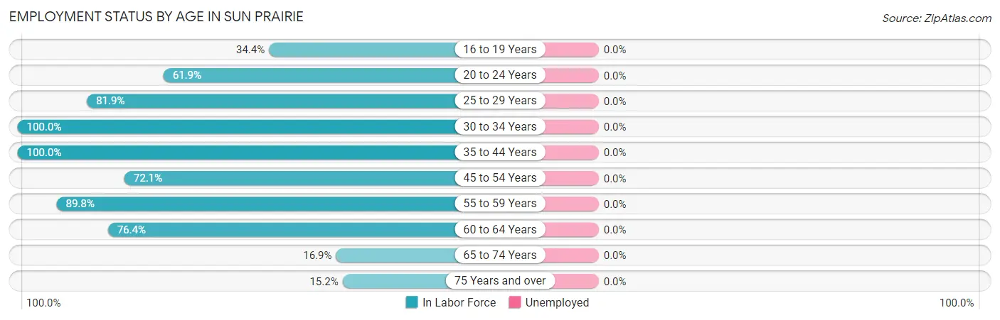 Employment Status by Age in Sun Prairie