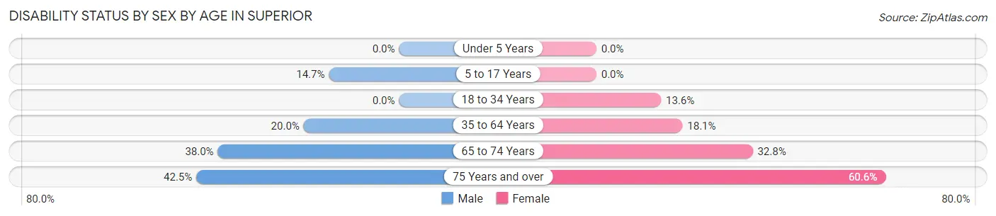 Disability Status by Sex by Age in Superior