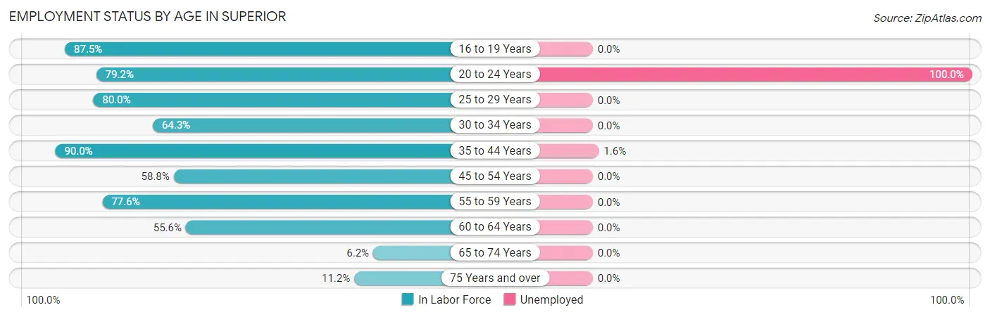 Employment Status by Age in Superior