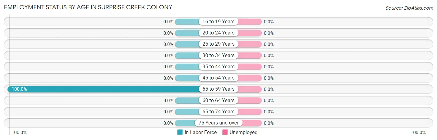 Employment Status by Age in Surprise Creek Colony
