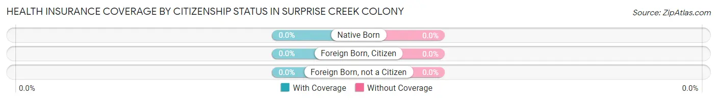 Health Insurance Coverage by Citizenship Status in Surprise Creek Colony