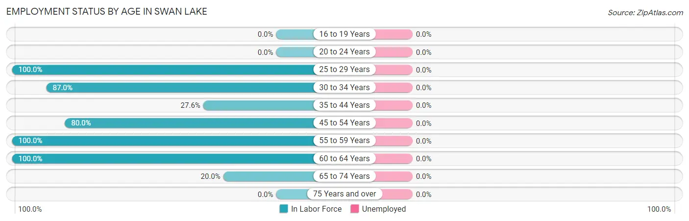 Employment Status by Age in Swan Lake