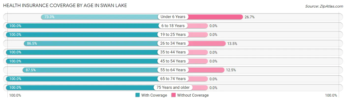 Health Insurance Coverage by Age in Swan Lake