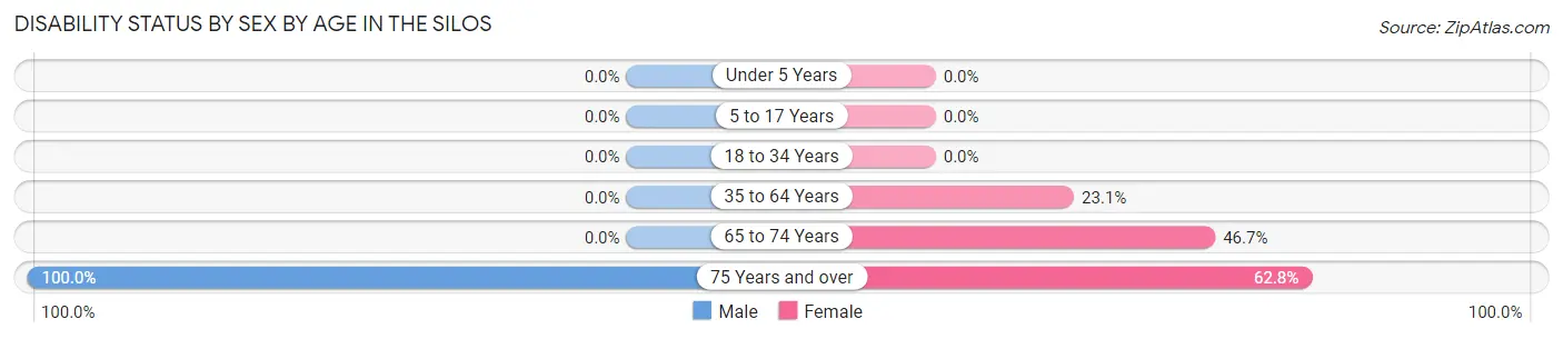 Disability Status by Sex by Age in The Silos