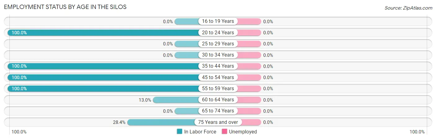 Employment Status by Age in The Silos