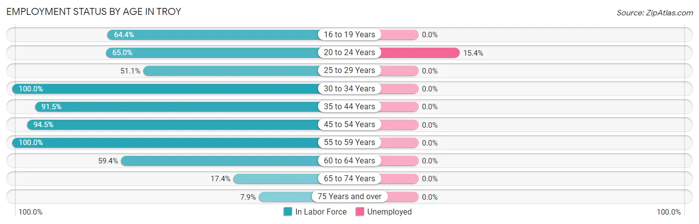 Employment Status by Age in Troy